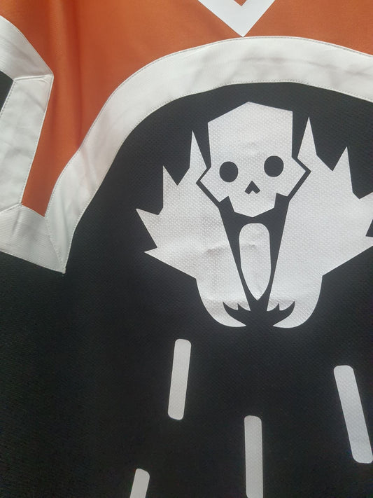 Helldivers 2 Vainglorious vagabond cosplay cape