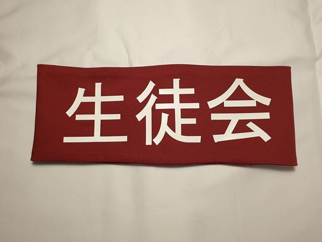 Mei Aihara -Citrus Armband